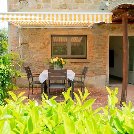 Brocca Tuoro sul Trasimeno