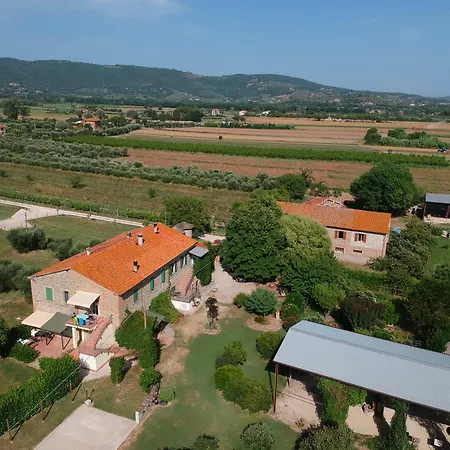 Brocca Farma