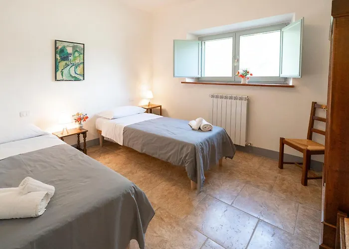 Brocca Tuoro sul Trasimeno